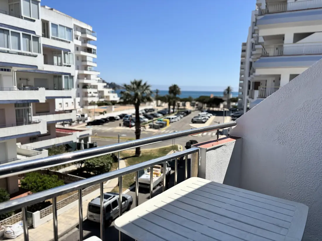 Location de Vacances Roses 194
