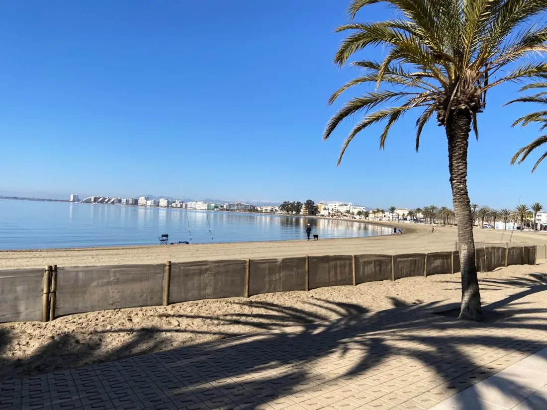 Location de Vacances Roses 194