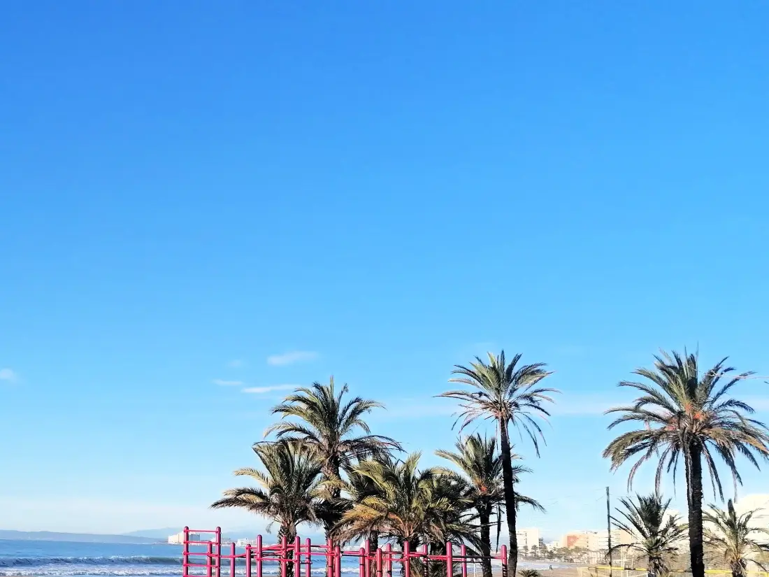 Location de Vacances Roses 197