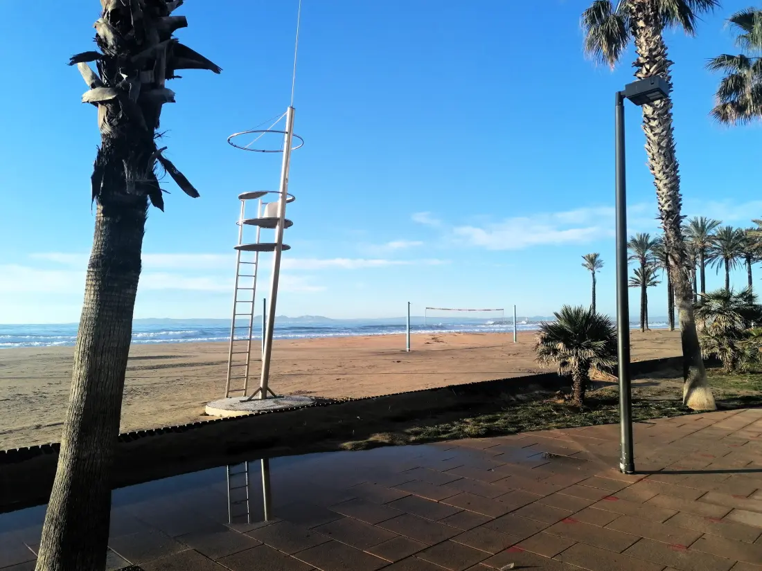 Location de Vacances Roses 197