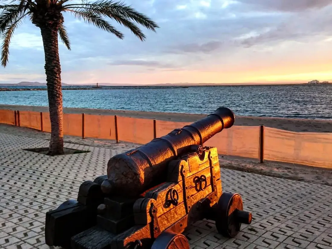 Location de Vacances Roses 197