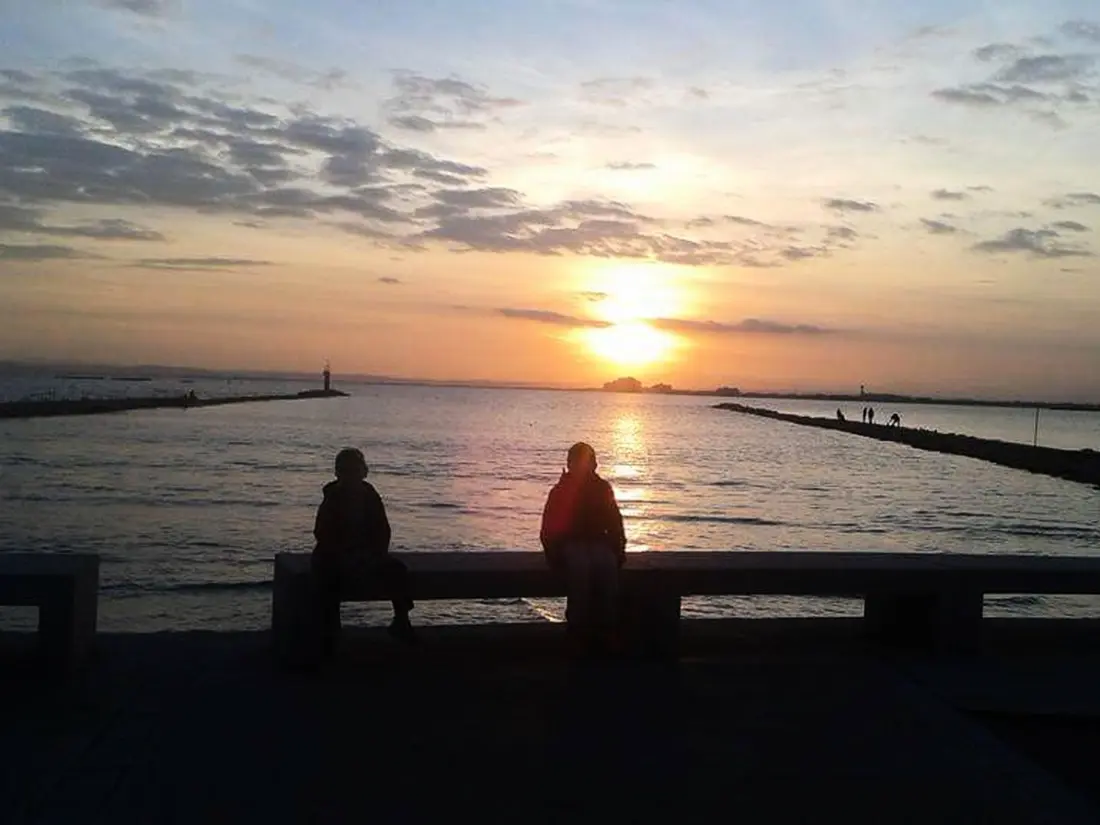 Location de Vacances Roses 197