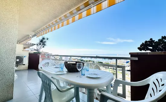Location de Vacances Roses 204