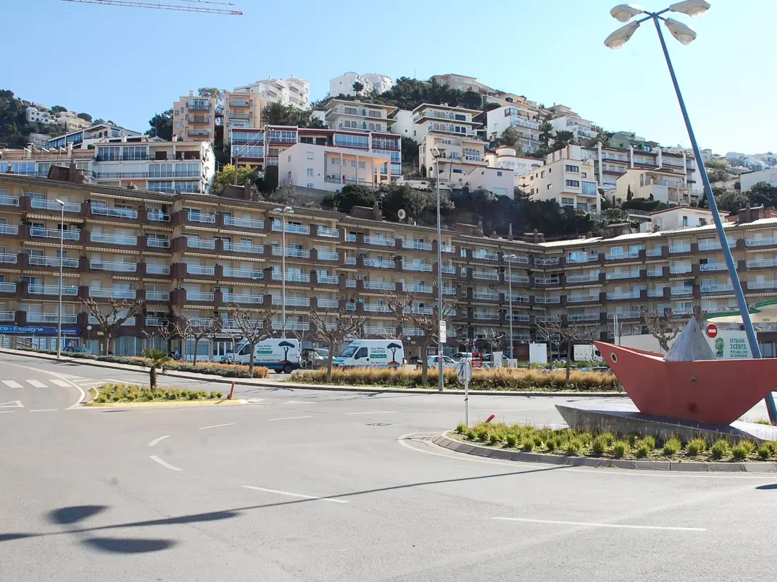 Location de Vacances Roses 207