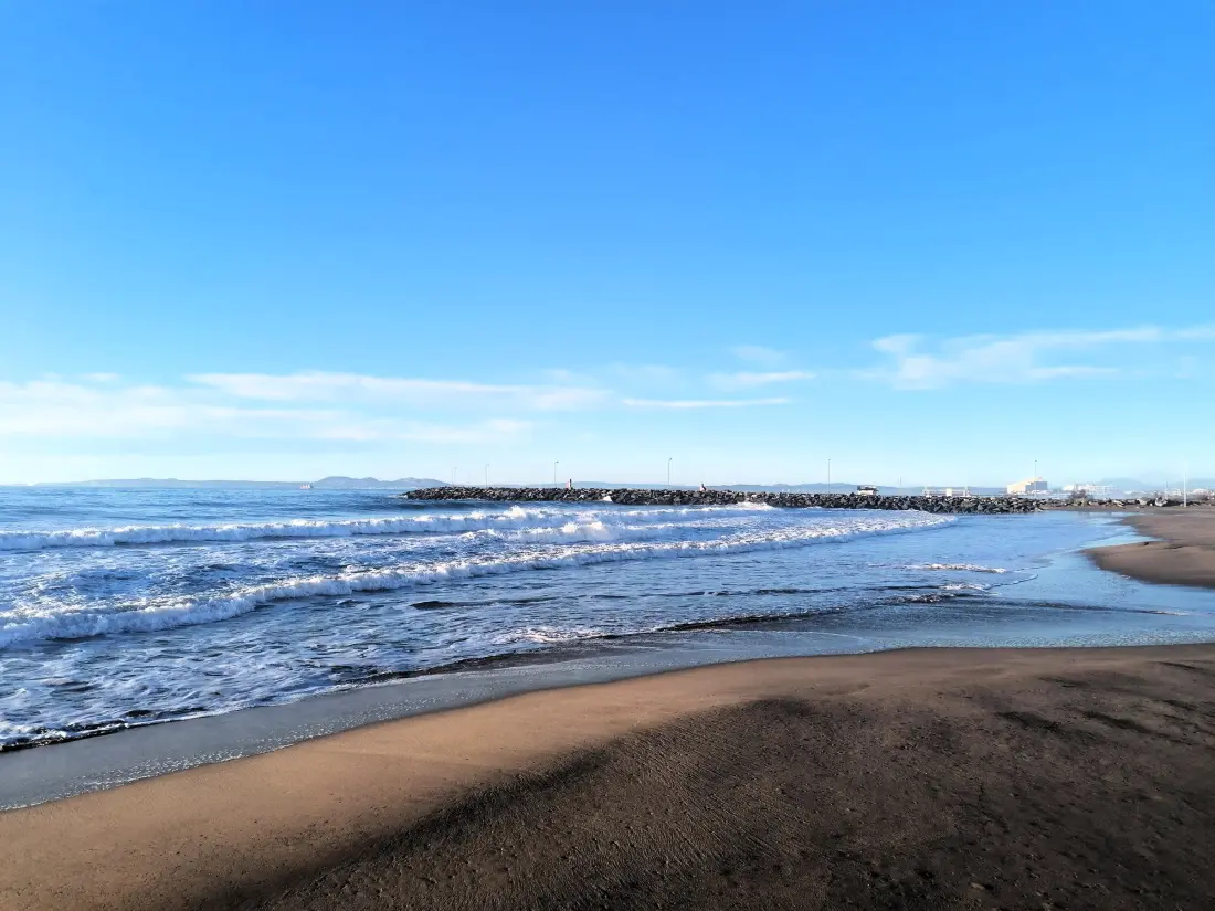 Location de Vacances Roses 207