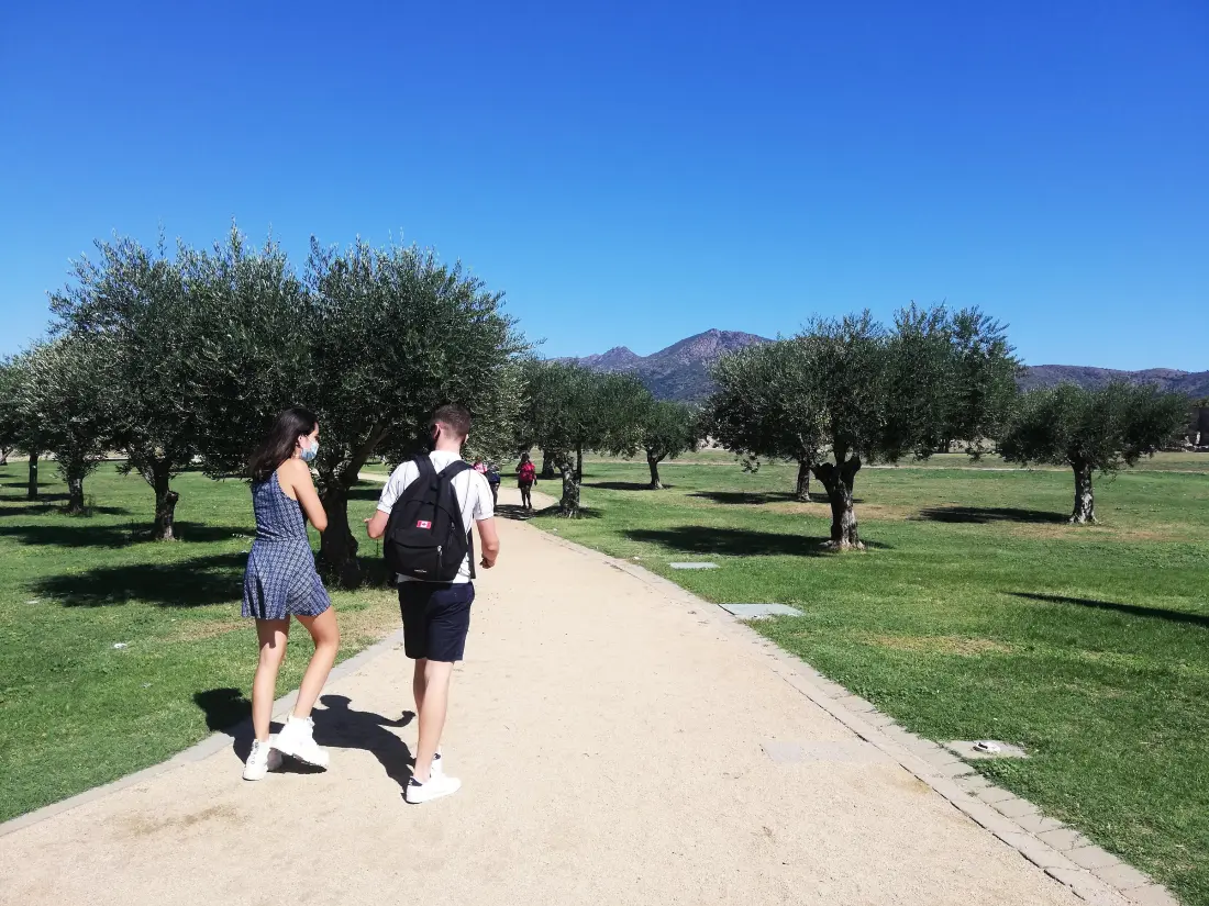 Location de Vacances Roses 207