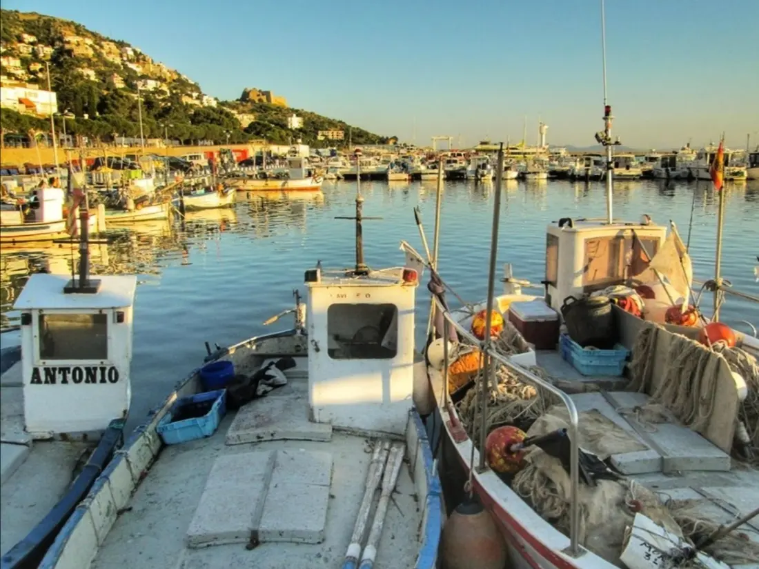 Location de Vacances Roses 212