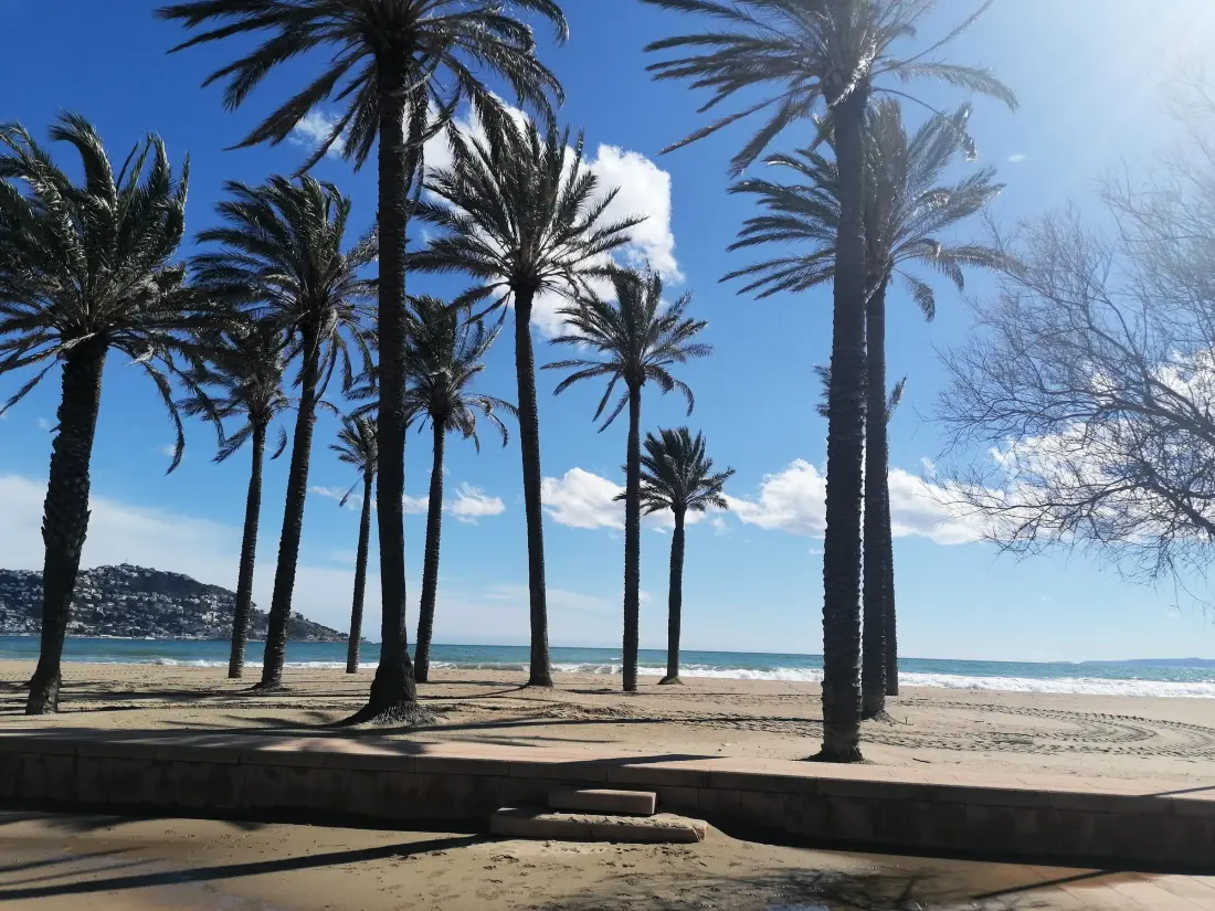 Location de Vacances Roses 213