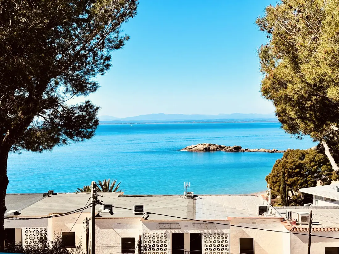 Location de Vacances Roses 217
