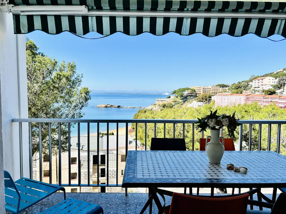 Location de Vacances Roses 217