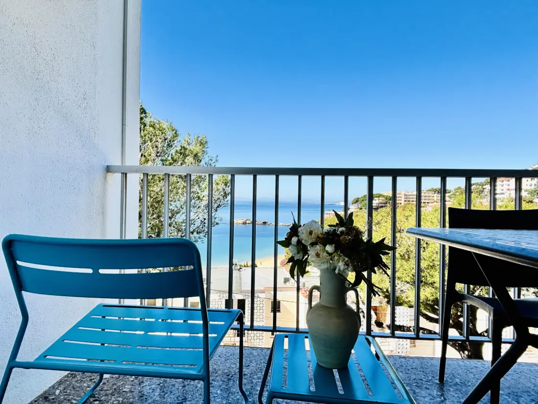 Location de Vacances Roses 217