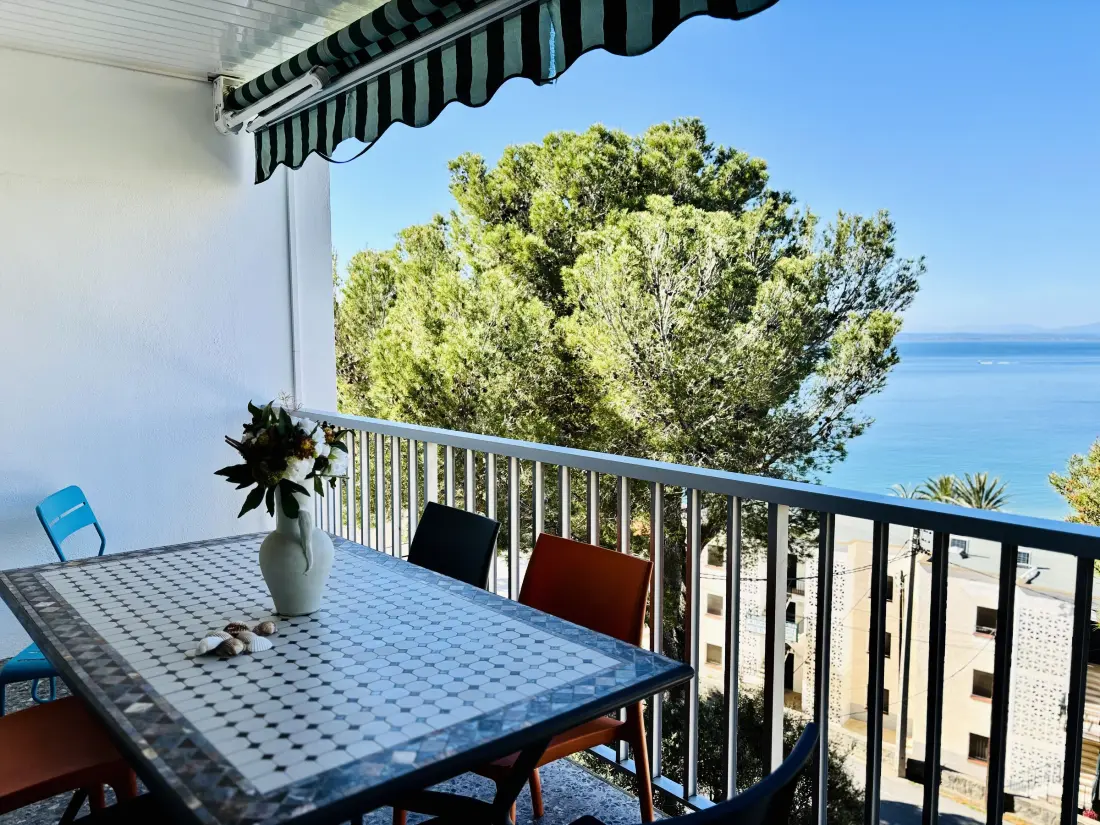 Location de Vacances Roses 217