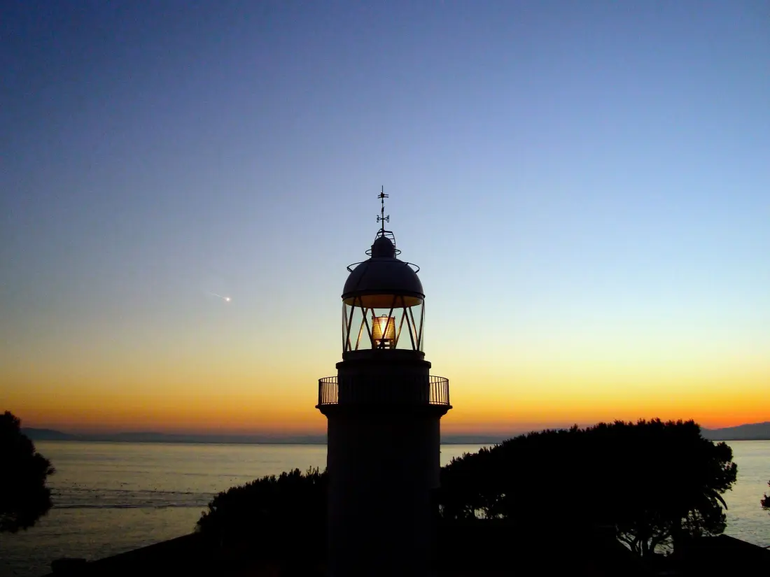 Location de Vacances Roses 220
