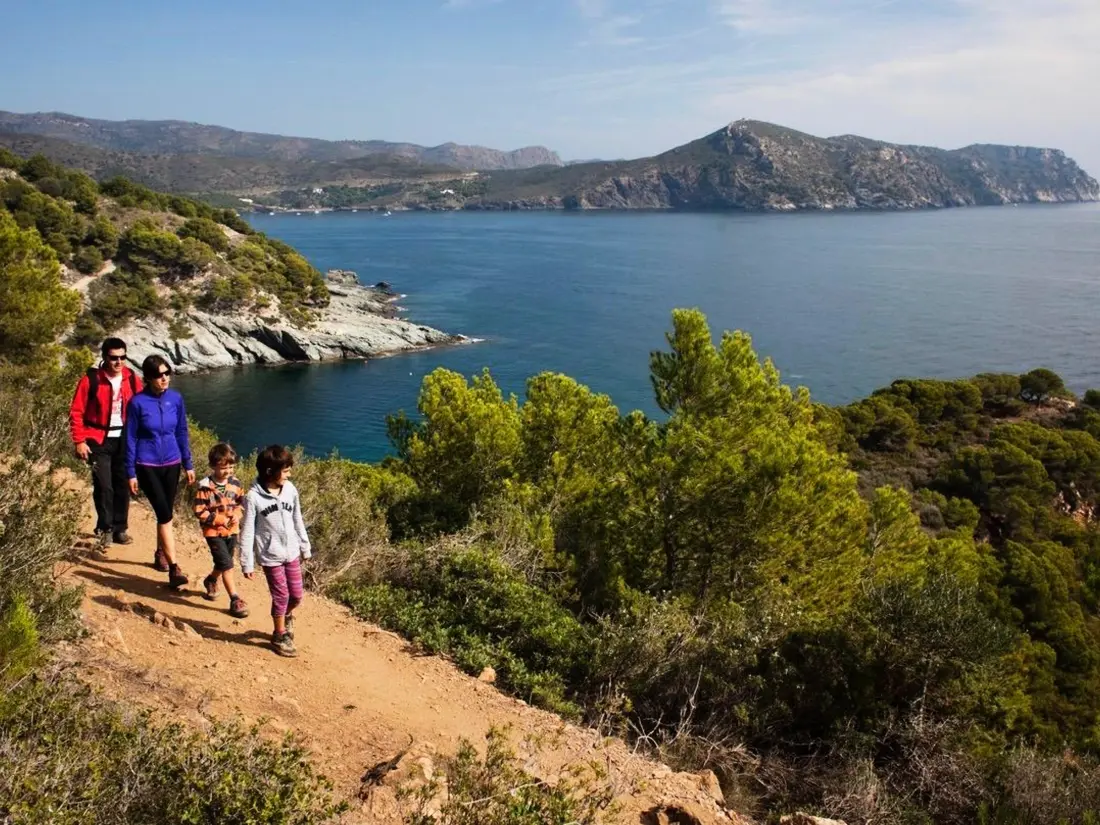 Location de Vacances Roses 220
