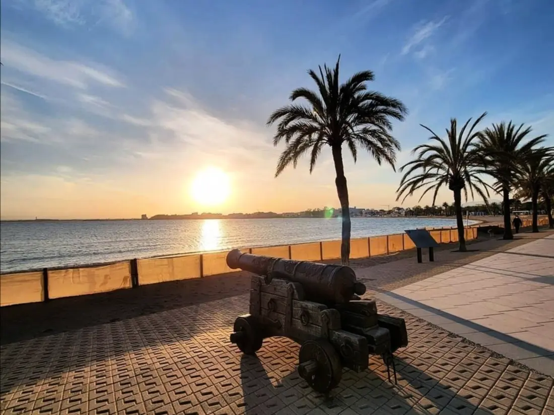 Location de Vacances Roses 222
