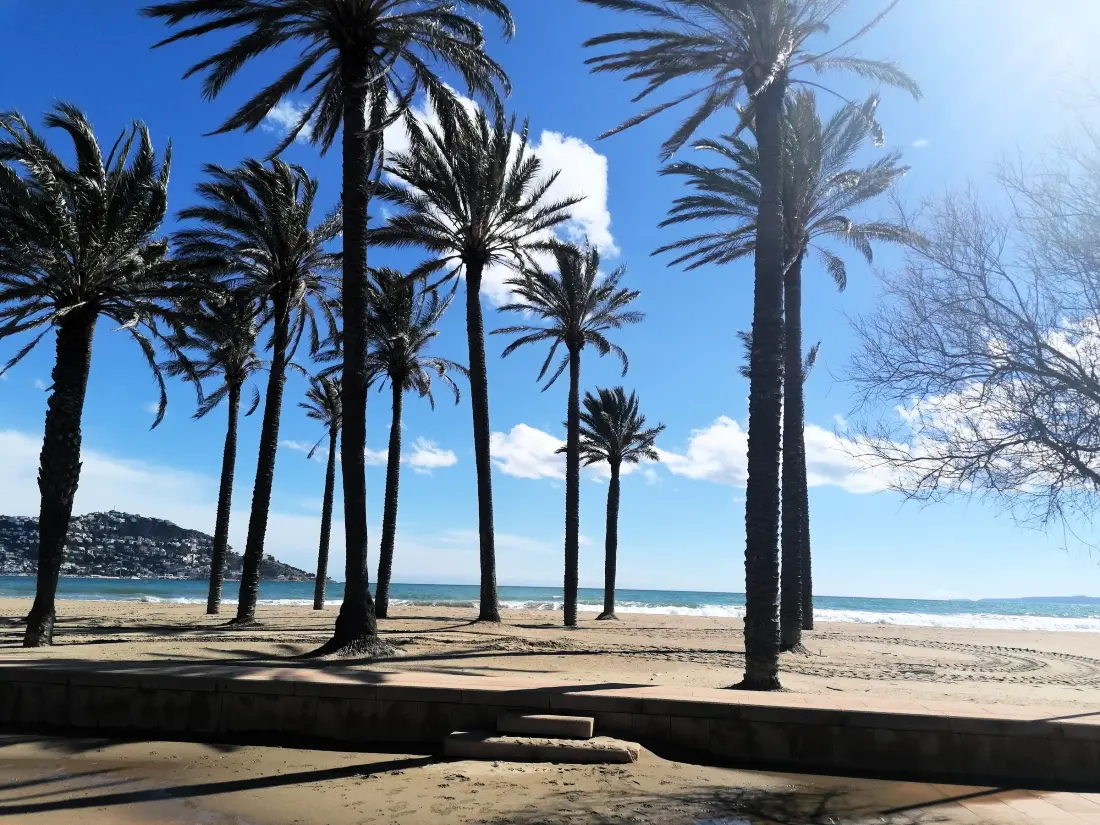 Location de Vacances Roses 225