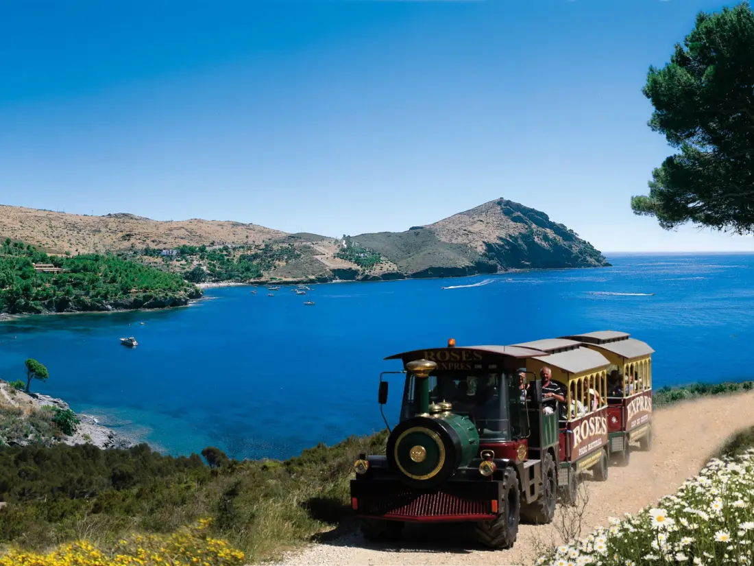 Location de Vacances Roses 225