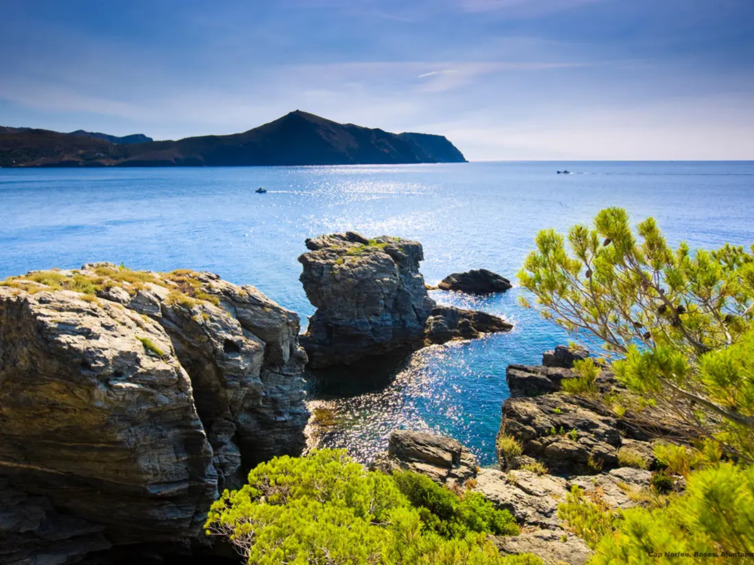 Location de Vacances Roses 225