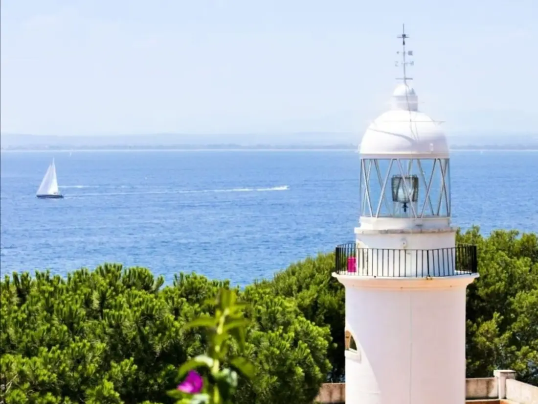Location de Vacances Roses 227