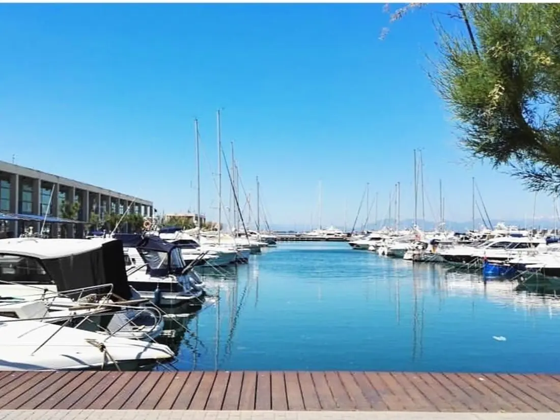 Location de Vacances Roses 227