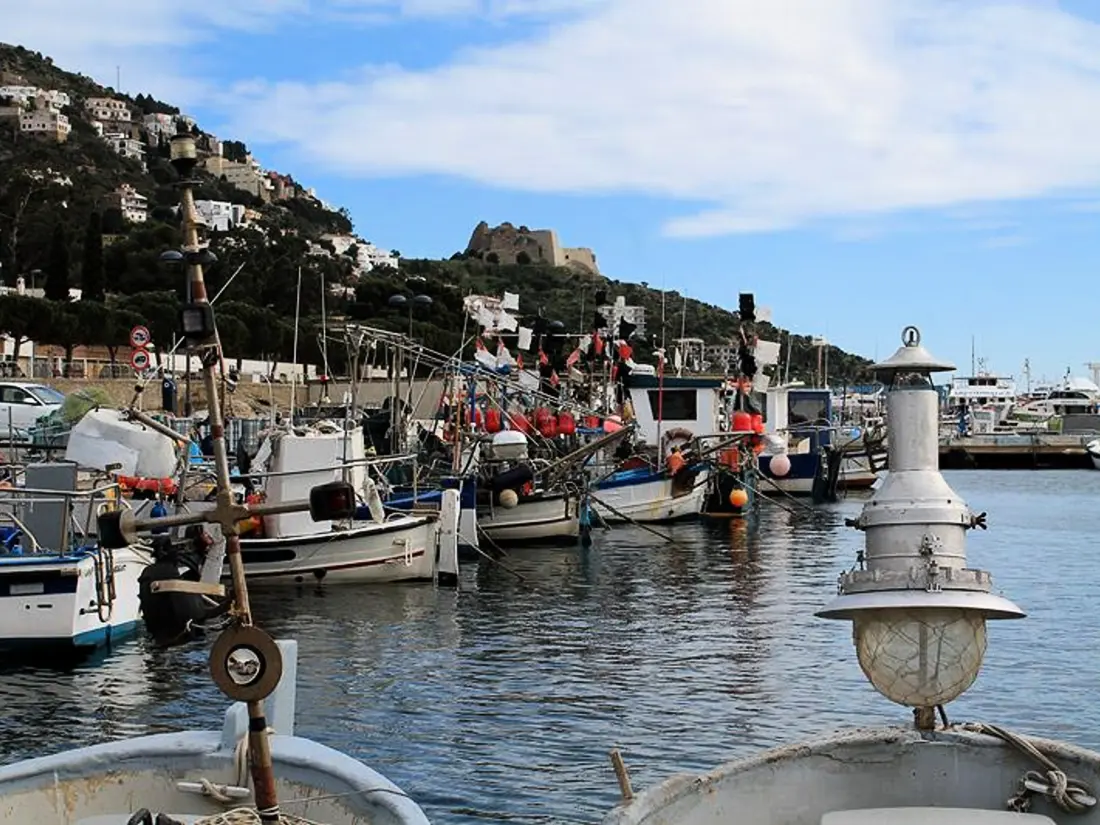 Location de Vacances Roses 227