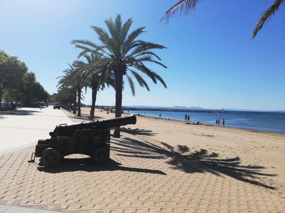 Location de Vacances Roses 227