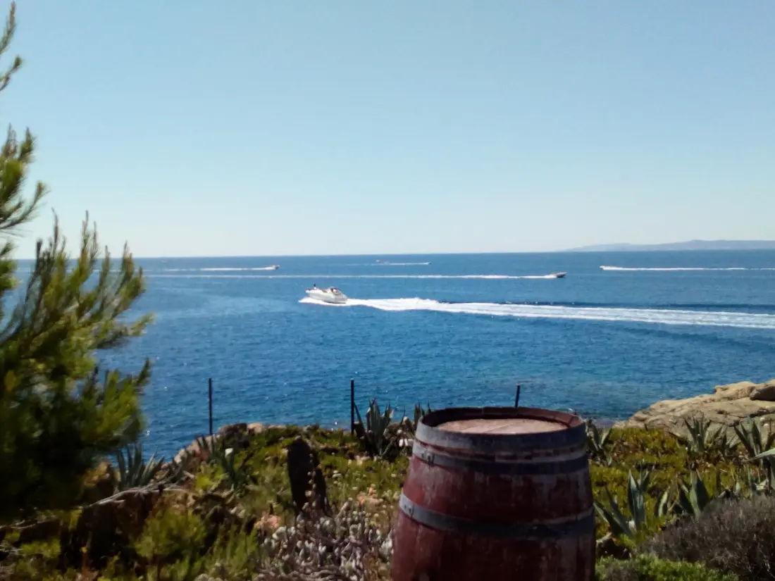 Location de Vacances Roses 227