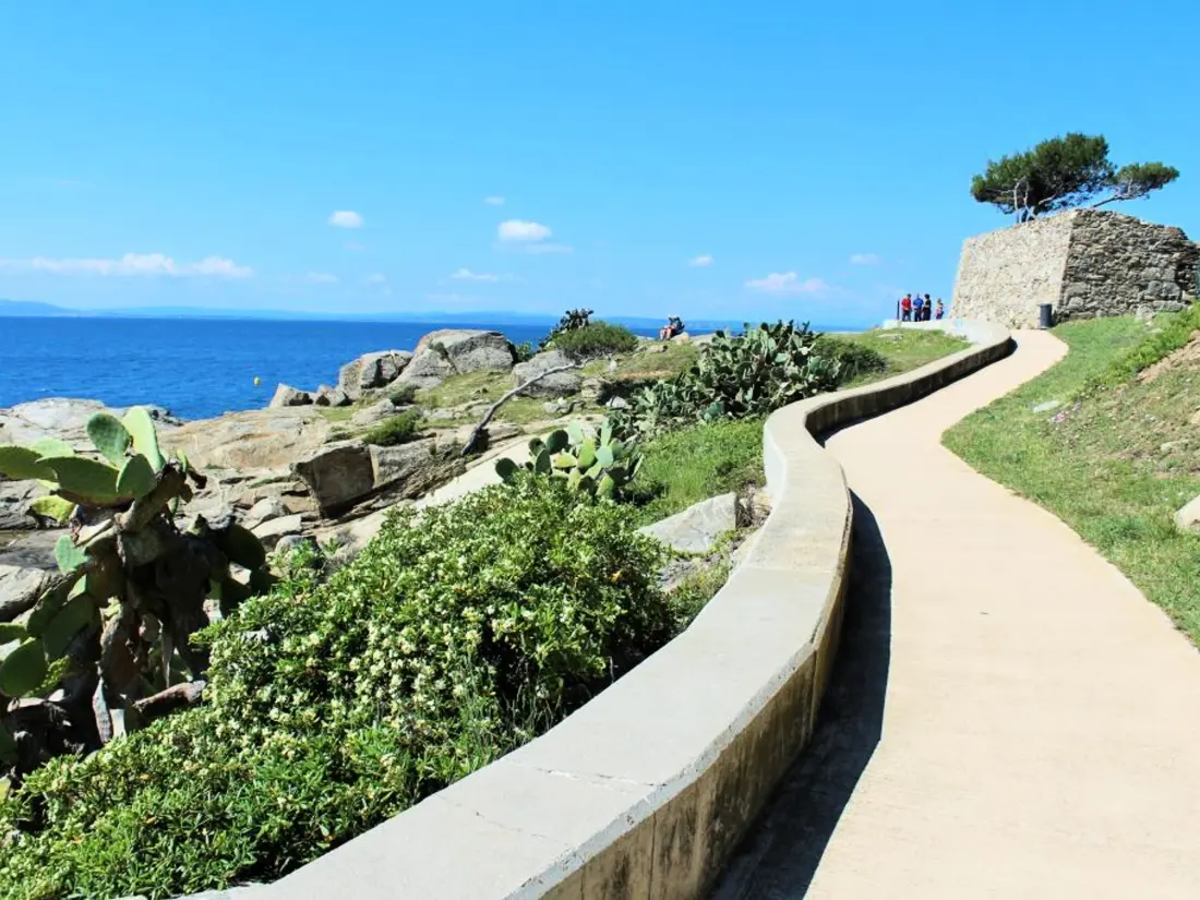 Location de Vacances Roses 227