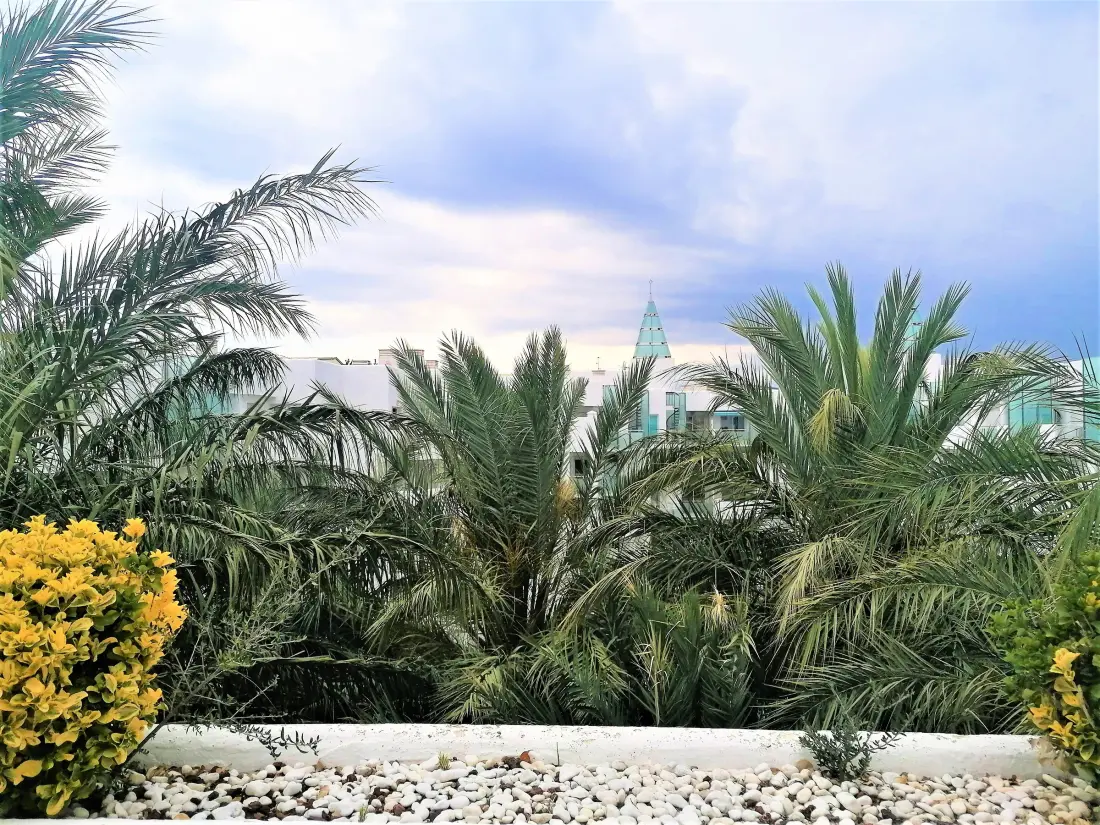 Location de Vacances Roses 238
