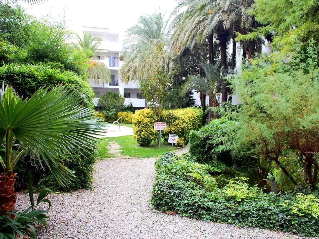 Location de Vacances Roses 238