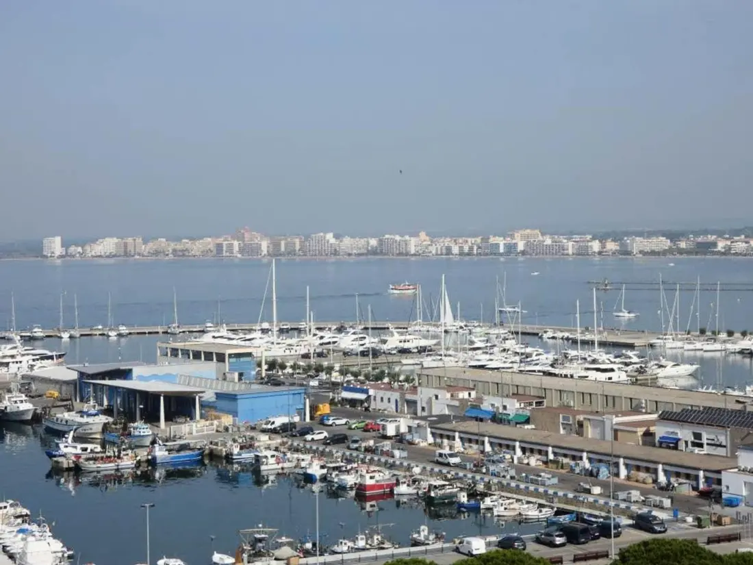 Location de Vacances Roses 249