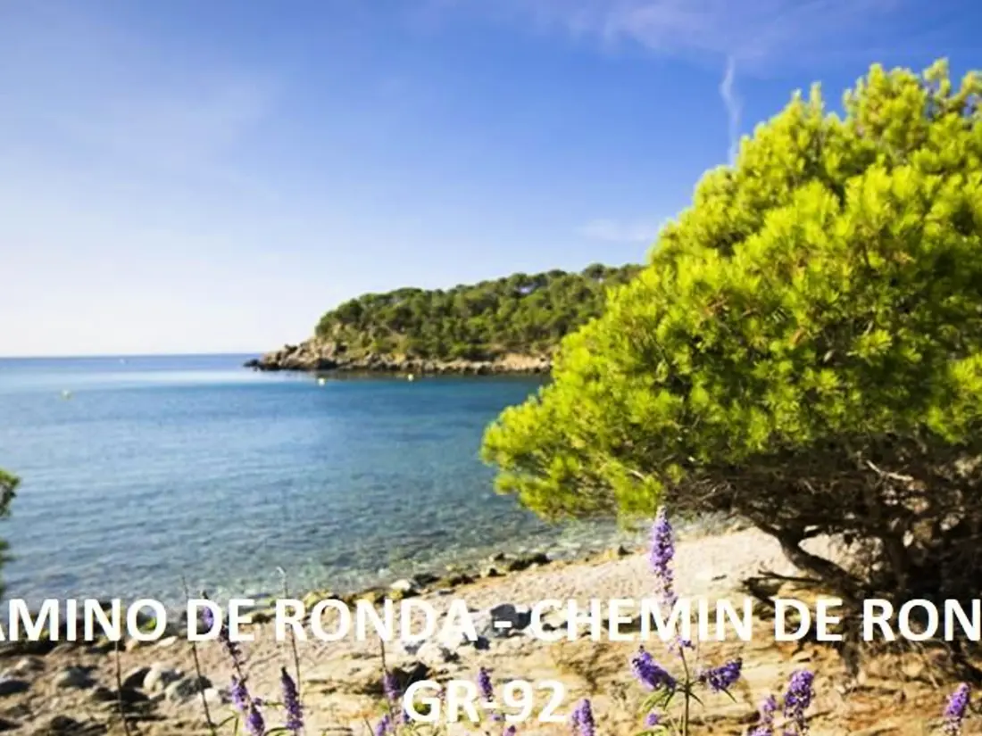 Location de Vacances Roses 249