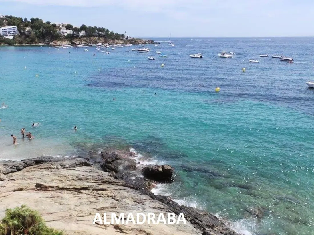 Location de Vacances Roses 249