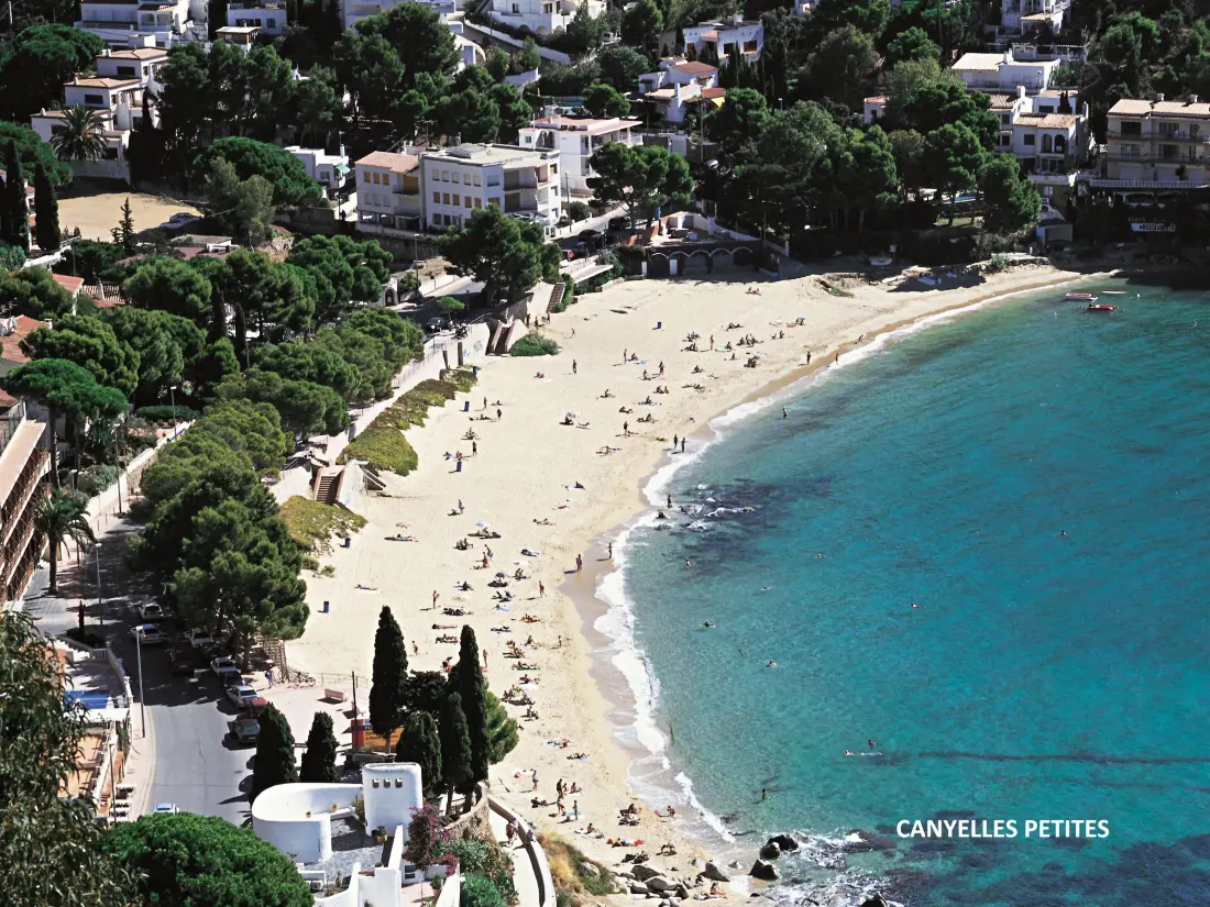 Location de Vacances Roses 249