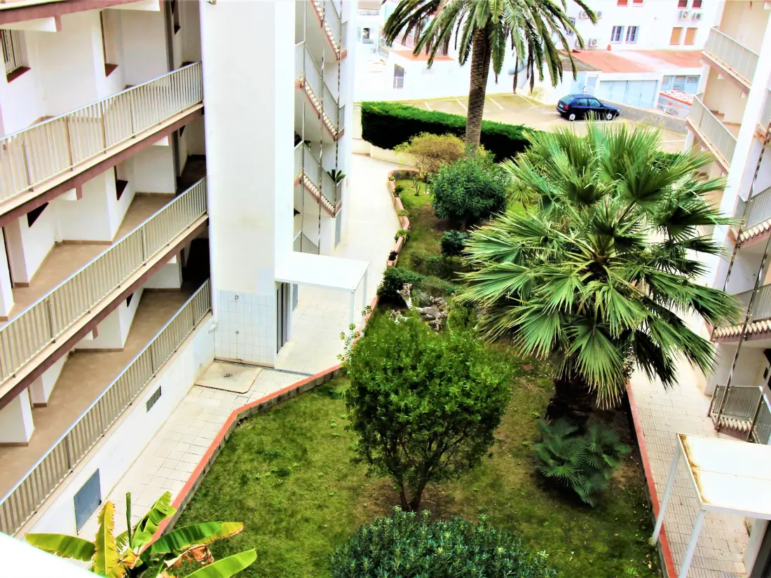 Location de Vacances Roses 257