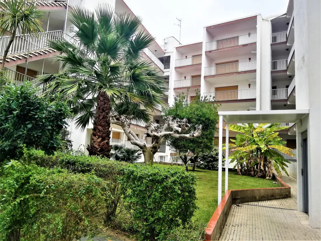 Location de Vacances Roses 257