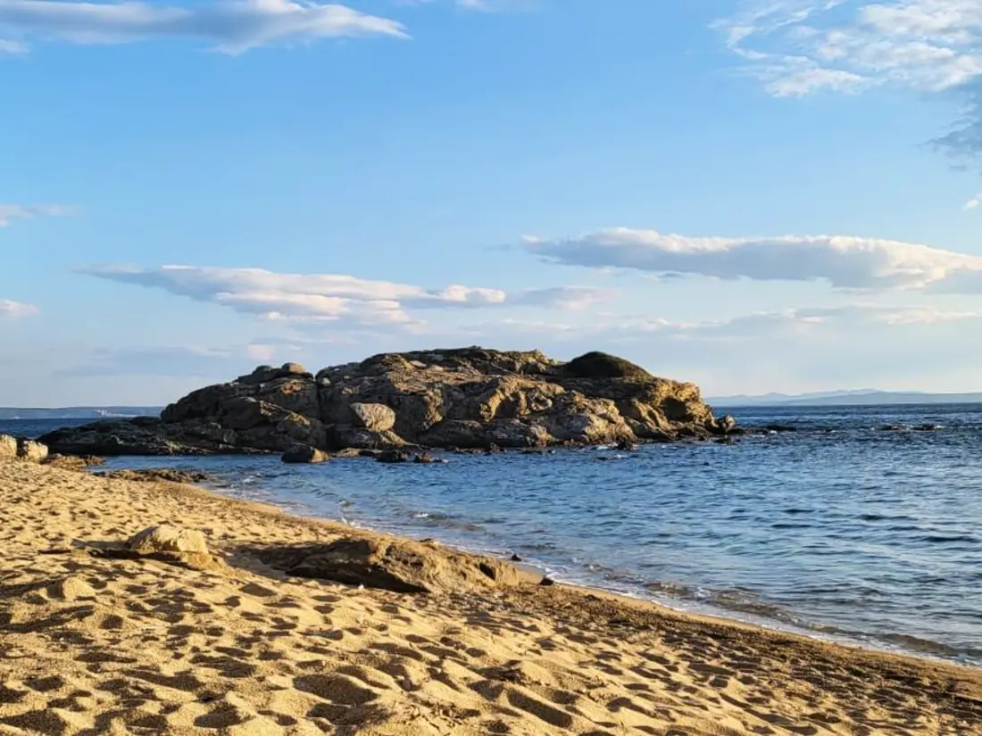 Location de Vacances Roses 257