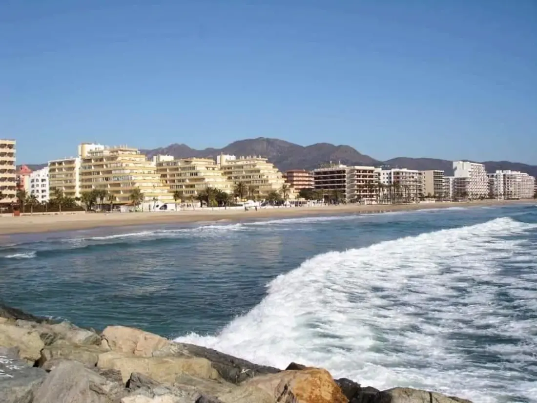 Location de Vacances Roses 257