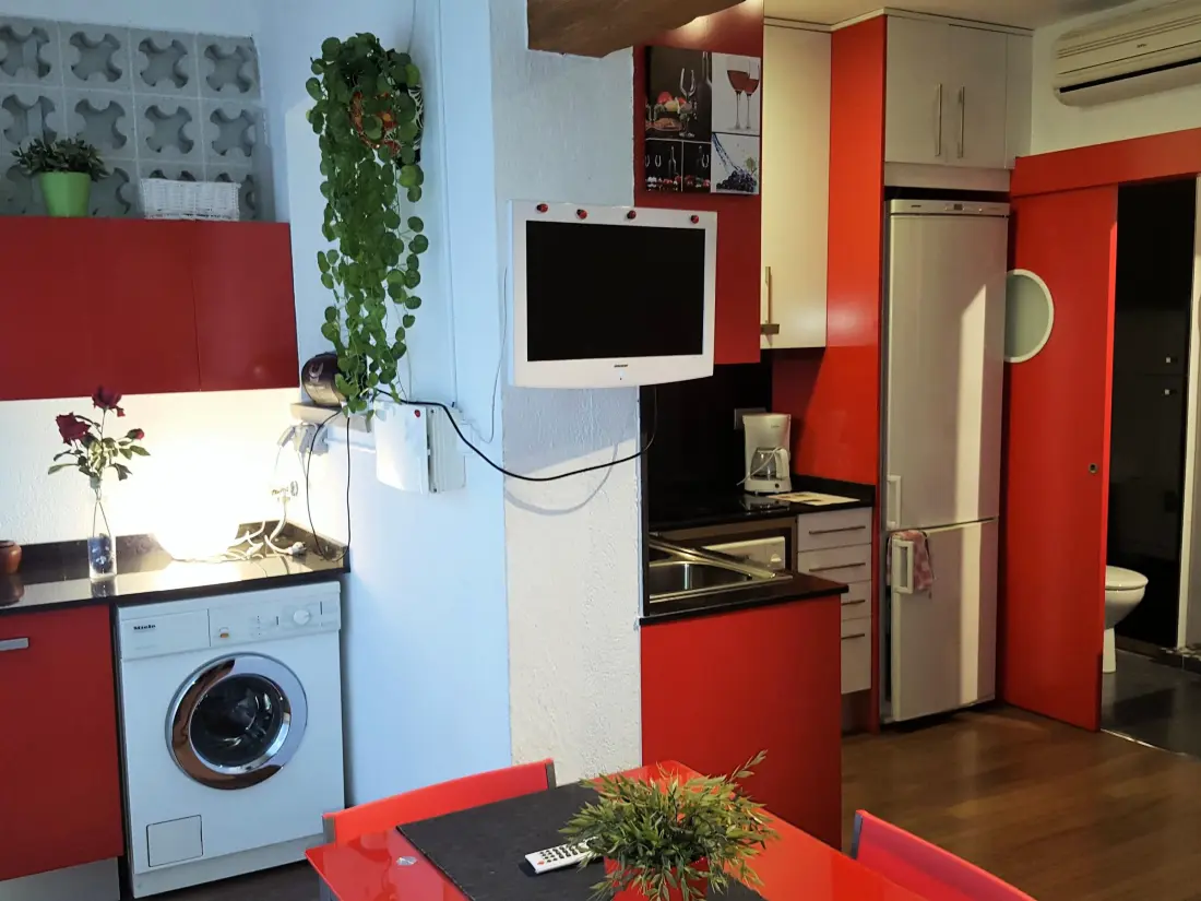 Location de Vacances Roses 263
