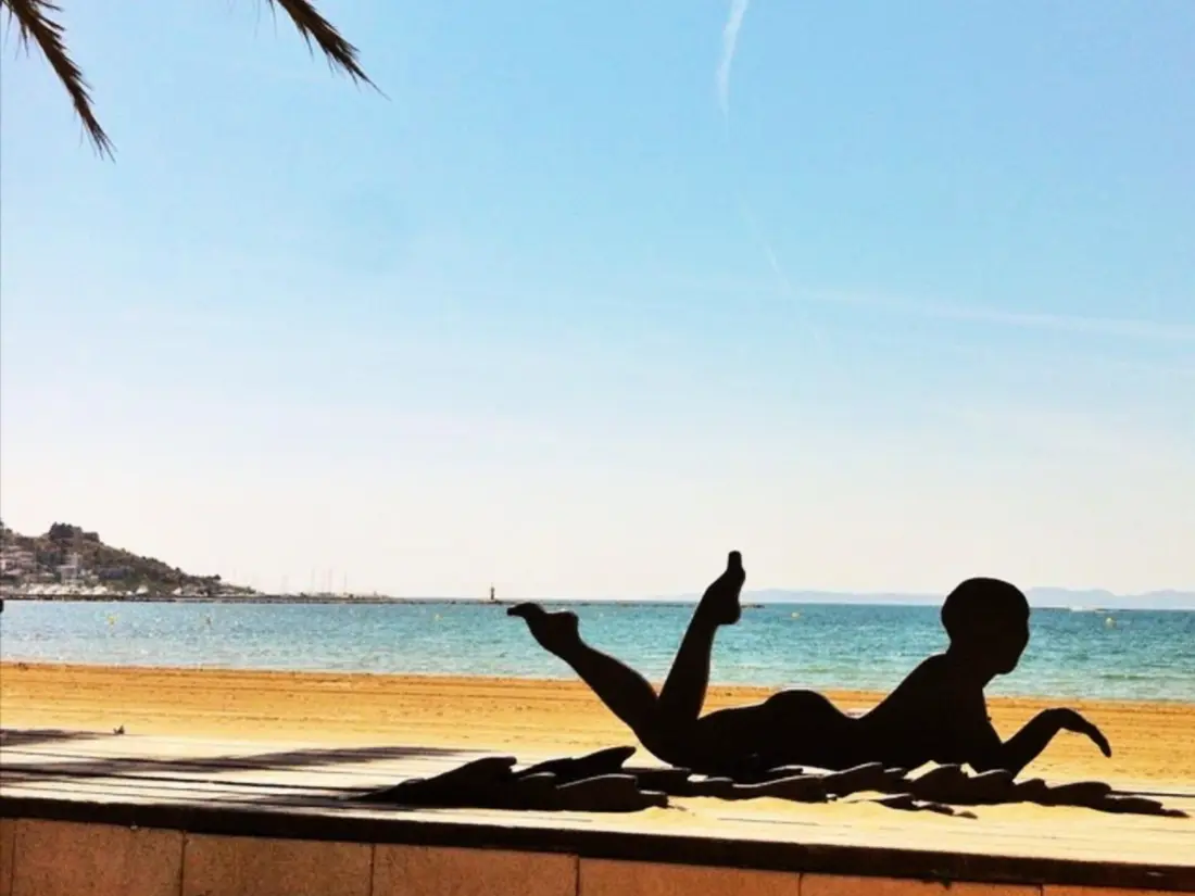 Location de Vacances Roses 263