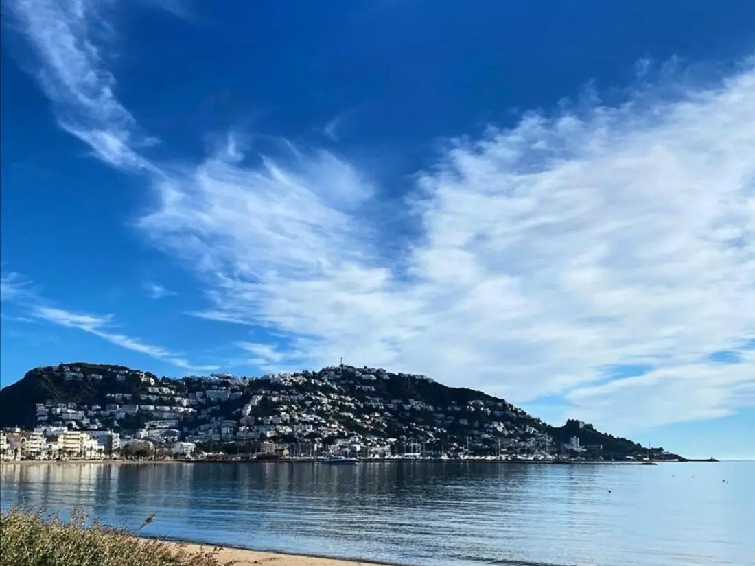 Location de Vacances Roses 263