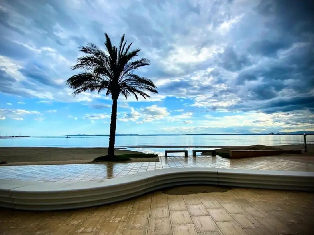 Location de Vacances Roses 263