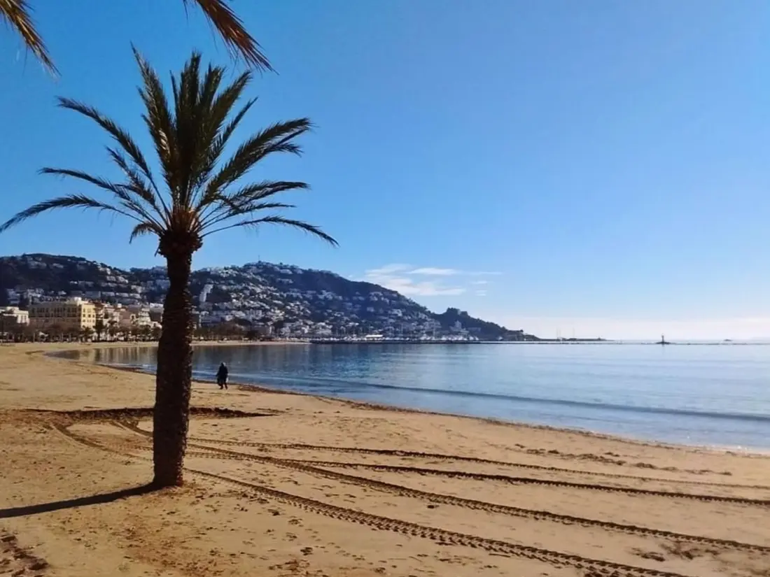 Location de Vacances Roses 263