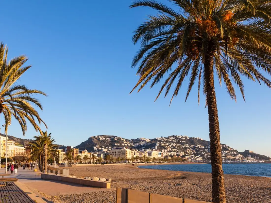 Location de Vacances Roses 264