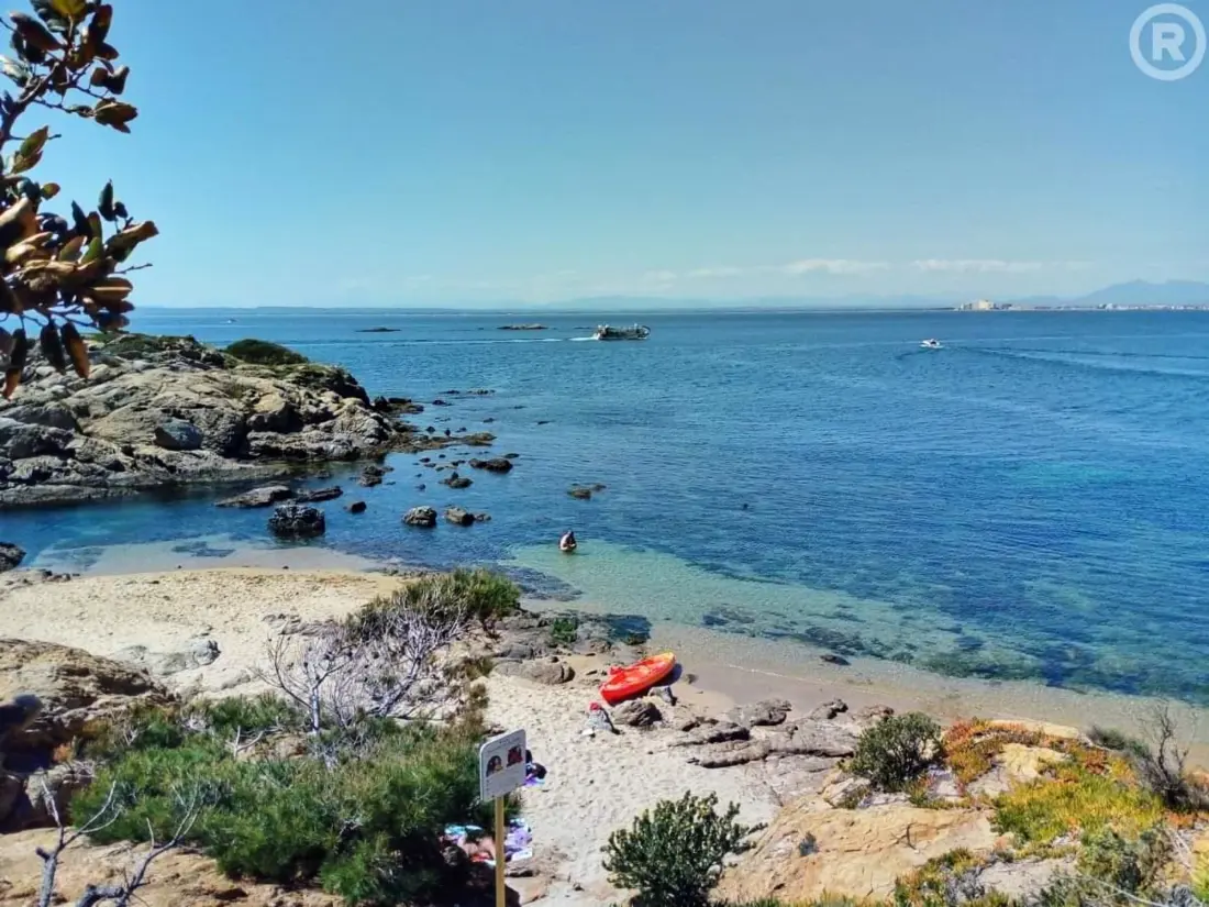 Location de Vacances Roses 264