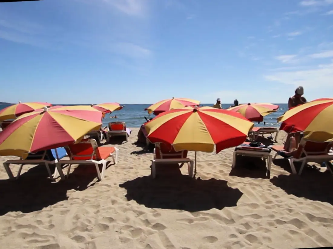 Location de Vacances Roses 264