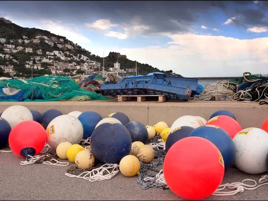 Location de Vacances Roses 264