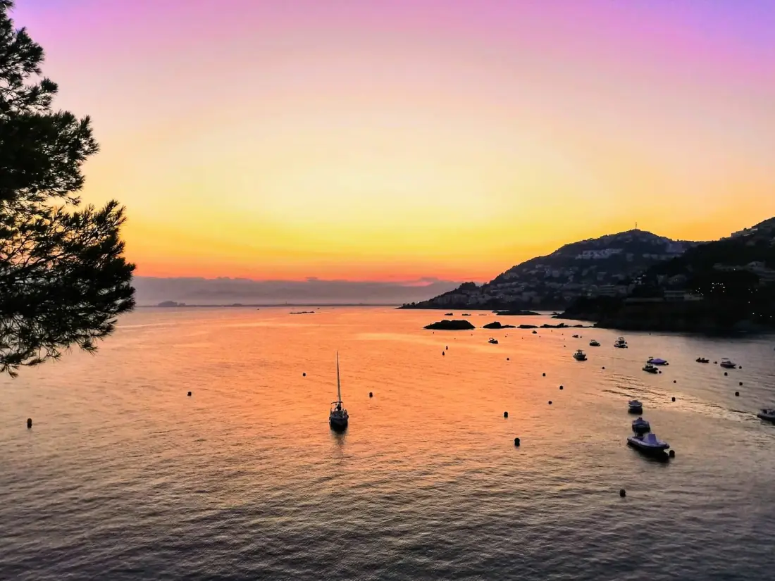 Location de Vacances Roses 264