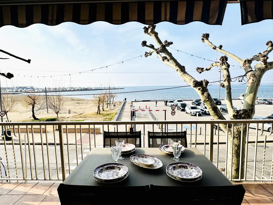 Location de Vacances Roses 266
