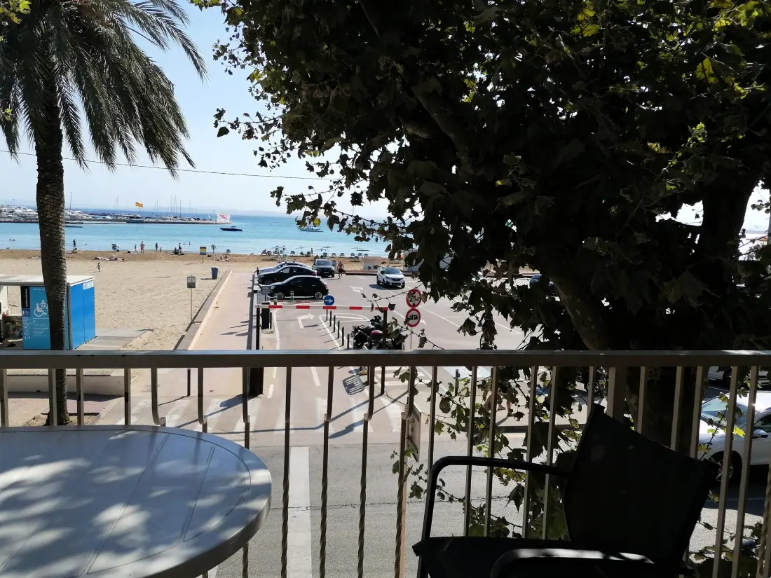 Location de Vacances Roses 266